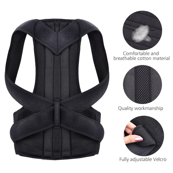 Lumbar Brace Spine Support