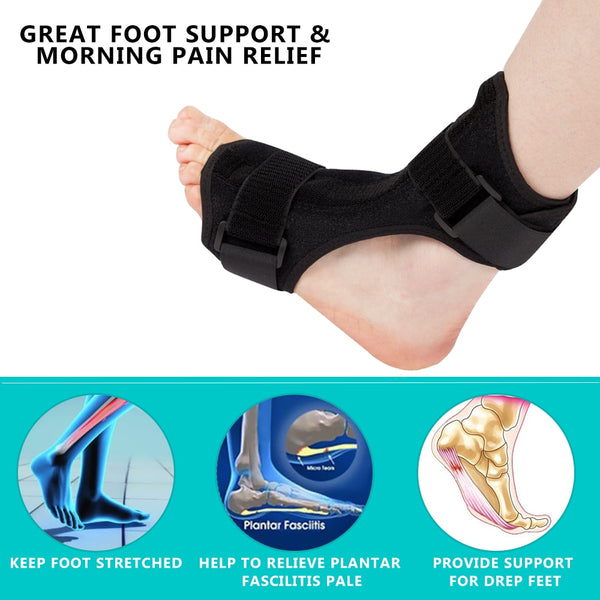 Orthotic Ankle Brace