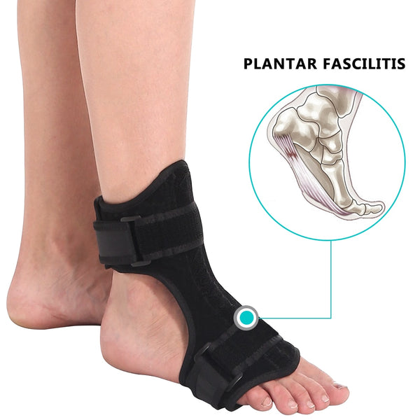 Orthotic Ankle Brace